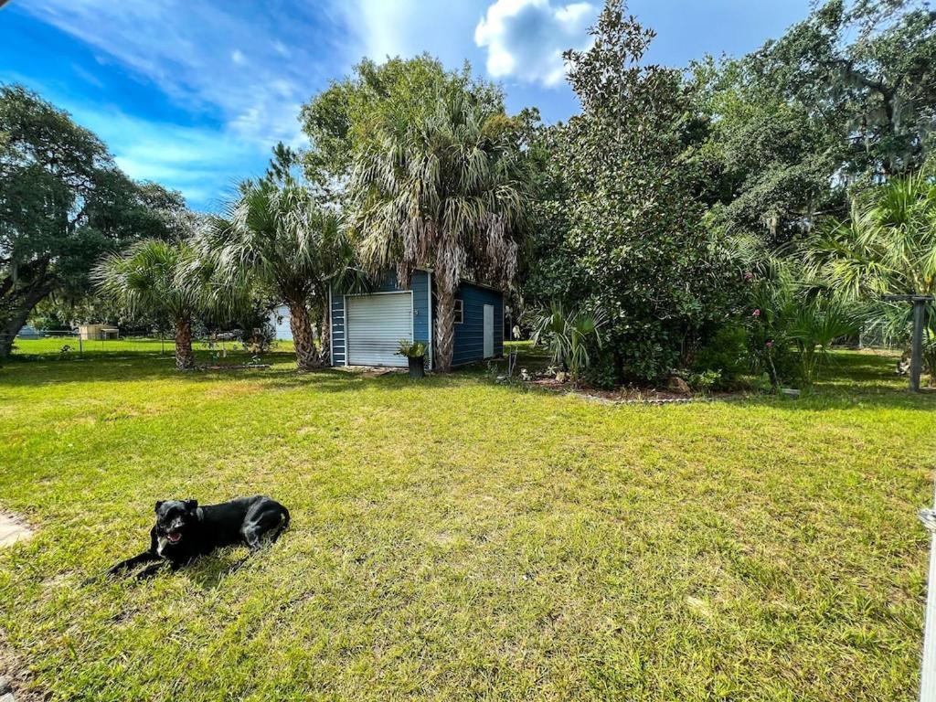 House Of Shells, Beautiful Garden, Fenced Yard, Dog Friendly, Fire Pit! Βίλα Crystal River Εξωτερικό φωτογραφία