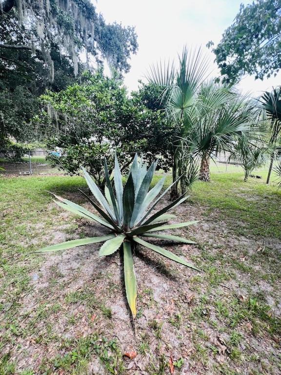 House Of Shells, Beautiful Garden, Fenced Yard, Dog Friendly, Fire Pit! Βίλα Crystal River Εξωτερικό φωτογραφία