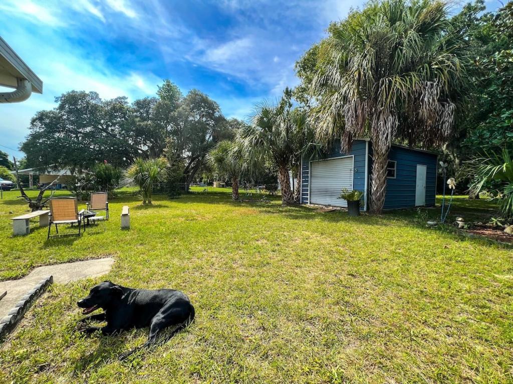 House Of Shells, Beautiful Garden, Fenced Yard, Dog Friendly, Fire Pit! Βίλα Crystal River Εξωτερικό φωτογραφία