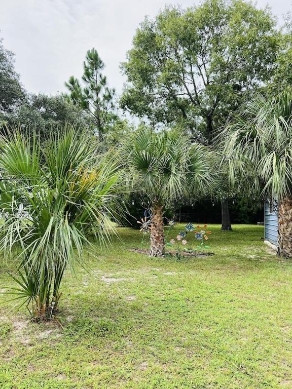 House Of Shells, Beautiful Garden, Fenced Yard, Dog Friendly, Fire Pit! Βίλα Crystal River Εξωτερικό φωτογραφία
