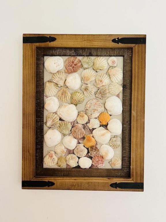 House Of Shells, Beautiful Garden, Fenced Yard, Dog Friendly, Fire Pit! Βίλα Crystal River Εξωτερικό φωτογραφία