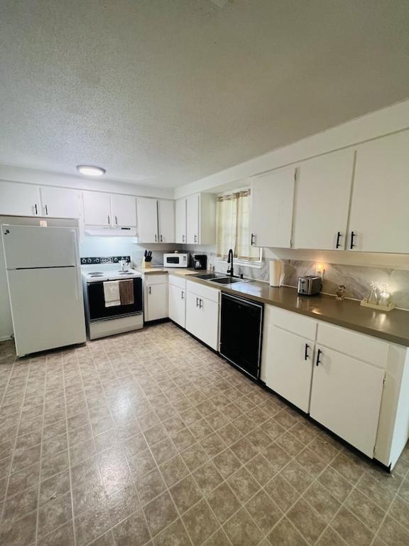 House Of Shells, Beautiful Garden, Fenced Yard, Dog Friendly, Fire Pit! Βίλα Crystal River Εξωτερικό φωτογραφία